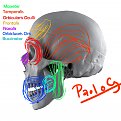 Click image for larger version

Name:	Muscles of face 2.jpg
Views:	120
Size:	331.7 KB
ID:	284685