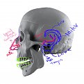 Click image for larger version

Name:	skull_open_04Cartilage.jpg
Views:	152
Size:	362.1 KB
ID:	284938