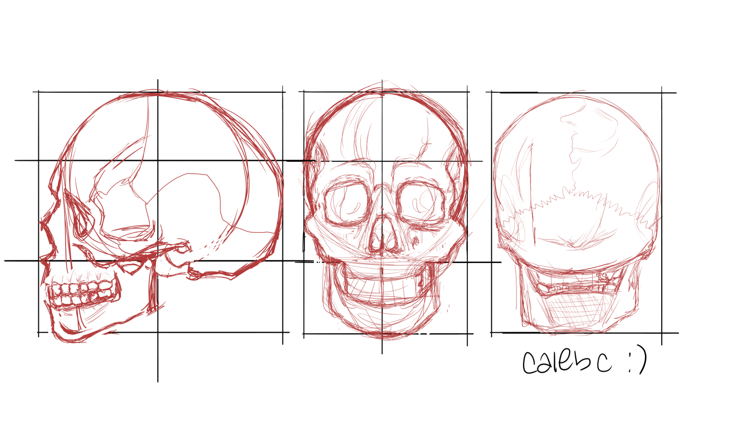 Click image for larger version

Name:	skull practice sketch.png
Views:	172
Size:	515.3 KB
ID:	1140