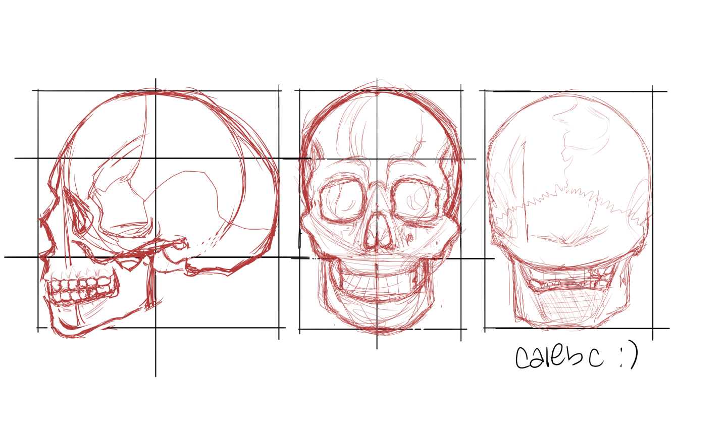 Click image for larger version

Name:	skull practice sketch.png
Views:	143
Size:	515.3 KB
ID:	1140