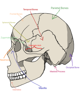 Click image for larger version

Name:	Untitled7_20240902023435.png
Views:	194
Size:	238.8 KB
ID:	1156