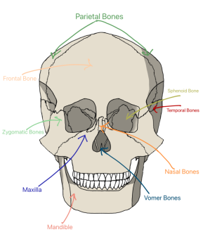 Click image for larger version

Name:	Untitled5_20240902024012.png
Views:	197
Size:	226.0 KB
ID:	1157