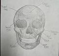 Click image for larger version

Name:	IMG_0776.jpg
Views:	192
Size:	96.3 KB
ID:	1189