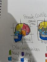 Click image for larger version

Name:	IMG_1721.jpg
Views:	181
Size:	55.4 KB
ID:	1213