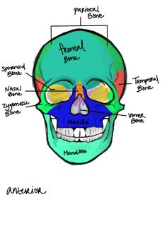Click image for larger version

Name:	IMG_0205.png
Views:	186
Size:	213.9 KB
ID:	1229