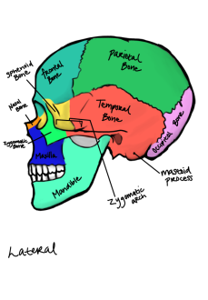 Click image for larger version

Name:	IMG_0206.png
Views:	181
Size:	200.8 KB
ID:	1230