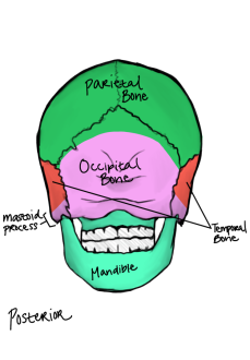 Click image for larger version

Name:	IMG_0204.png
Views:	183
Size:	212.1 KB
ID:	1231