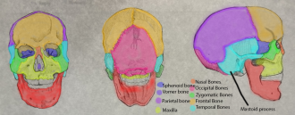Click image for larger version

Name:	IMG_1666.png
Views:	77
Size:	927.2 KB
ID:	1442