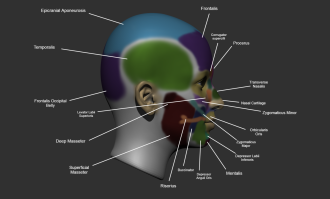 Click image for larger version

Name:	ZBrush Document2.png
Views:	181
Size:	393.3 KB
ID:	1841