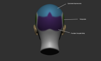 Click image for larger version

Name:	ZBrush Document3.png
Views:	190
Size:	212.1 KB
ID:	1842