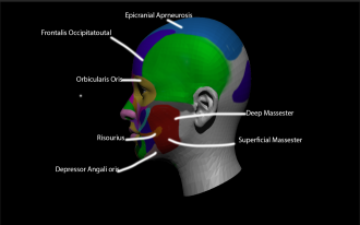 Click image for larger version

Name:	Side.png
Views:	63
Size:	194.6 KB
ID:	2196