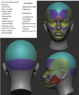 Click image for larger version

Name:	Screenshot 2024-09-05 145255.png
Views:	54
Size:	337.8 KB
ID:	2200