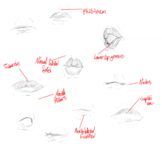 Click image for larger version

Name:	mouthSketches.png
Views:	256
Size:	188.4 KB
ID:	2360