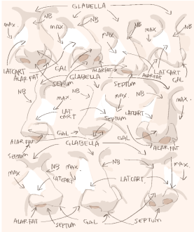 Click image for larger version

Name:	nose_labeled.png
Views:	357
Size:	225.3 KB
ID:	2369
