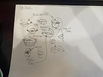 Click image for larger version

Name:	IMG_1734.jpg
Views:	264
Size:	74.7 KB
ID:	2423