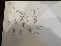 Click image for larger version

Name:	IMG_1733.jpg
Views:	266
Size:	75.8 KB
ID:	2424