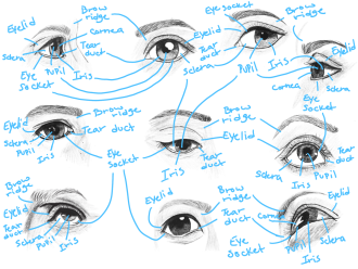 Click image for larger version

Name:	Eyes.png
Views:	206
Size:	778.0 KB
ID:	3055