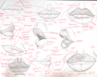 Click image for larger version

Name:	LipAnatomy.png
Views:	204
Size:	849.0 KB
ID:	3057