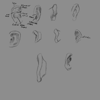 Click image for larger version

Name:	ear.png
Views:	199
Size:	152.0 KB
ID:	3069