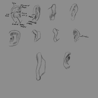 Click image for larger version

Name:	ear.png
Views:	117
Size:	152.0 KB
ID:	3069