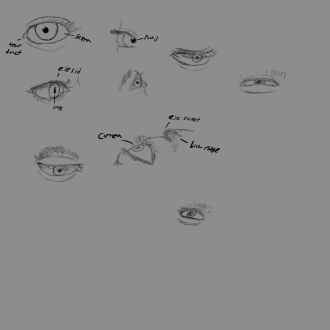 Click image for larger version

Name:	eyes.png
Views:	195
Size:	121.9 KB
ID:	3070
