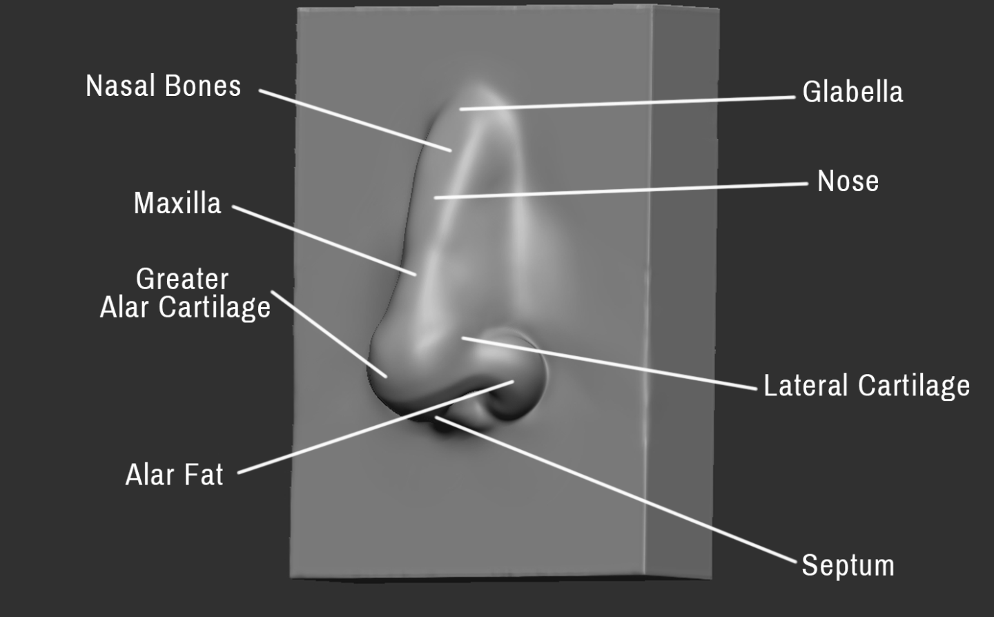 Click image for larger version

Name:	Nose (3).png
Views:	153
Size:	202.1 KB
ID:	3273
