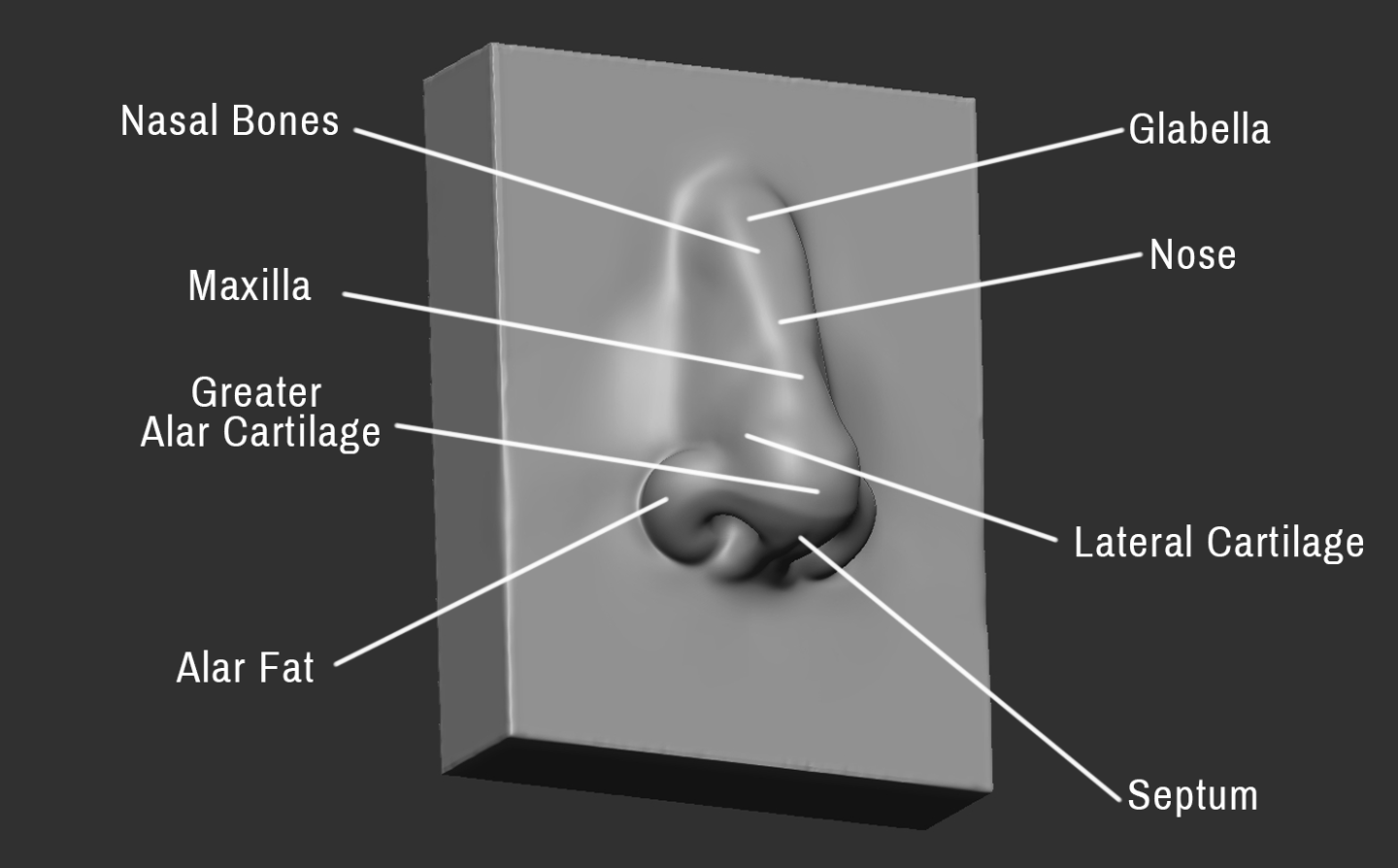 Click image for larger version

Name:	Nose (5).png
Views:	151
Size:	214.7 KB
ID:	3274