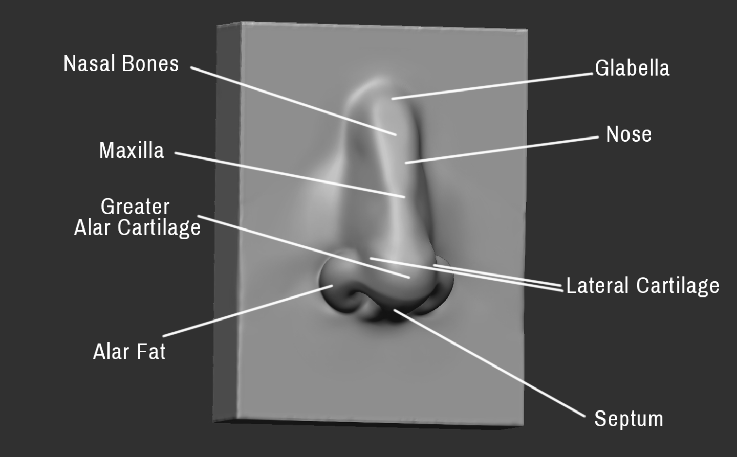Click image for larger version

Name:	Nose (2).png
Views:	142
Size:	218.7 KB
ID:	3276