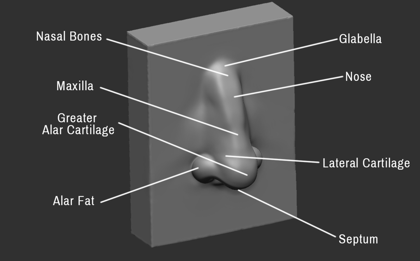 Click image for larger version

Name:	Nose (4).png
Views:	148
Size:	221.0 KB
ID:	3277