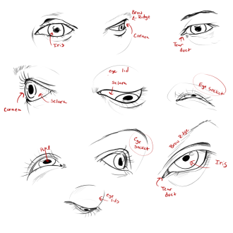 Click image for larger version

Name:	IMG_4095.png
Views:	187
Size:	256.0 KB
ID:	3311