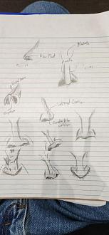 Click image for larger version

Name:	20240910_125834.jpg
Views:	93
Size:	55.8 KB
ID:	3357