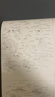 Click image for larger version  Name:	Shnoz.jpg Views:	0 Size:	46.9 KB ID:	3381