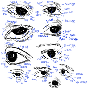 Click image for larger version

Name:	IMG_0706.png
Views:	78
Size:	532.8 KB
ID:	3427