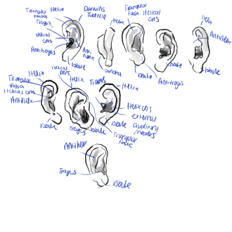Click image for larger version

Name:	IMG_0714.png
Views:	86
Size:	323.7 KB
ID:	3432
