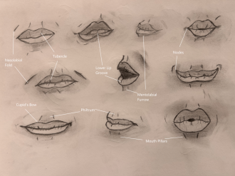 Click image for larger version

Name:	IMG_4556.png
Views:	68
Size:	970.6 KB
ID:	3442