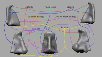 Click image for larger version

Name:	FacialFeatures_Nose.png
Views:	83
Size:	439.3 KB
ID:	3434