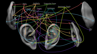 Click image for larger version

Name:	FacialFeatures_Ear.png
Views:	80
Size:	548.9 KB
ID:	3437