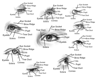 Click image for larger version

Name:	circle of eyes.png
Views:	91
Size:	479.5 KB
ID:	3454