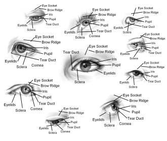 Click image for larger version

Name:	circle of eyes.png
Views:	60
Size:	479.5 KB
ID:	3454