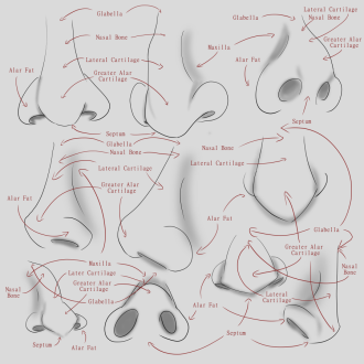 Click image for larger version

Name:	AfA_10Noses_labledV001.png
Views:	92
Size:	284.6 KB
ID:	3476
