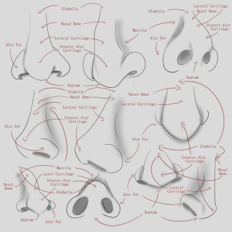 Click image for larger version

Name:	AfA_10Noses_labledV001.png
Views:	50
Size:	284.6 KB
ID:	3476