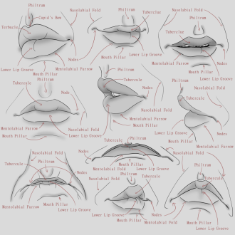 Click image for larger version

Name:	AfA_10Lips_labledV001.png
Views:	88
Size:	344.8 KB
ID:	3477
