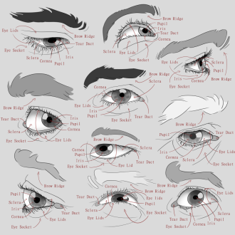 Click image for larger version

Name:	AfA_10eyes_labledV002.png
Views:	88
Size:	408.6 KB
ID:	3479