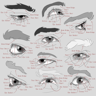 Click image for larger version

Name:	AfA_10eyes_labledV002.png
Views:	50
Size:	408.6 KB
ID:	3479