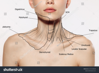 Click image for larger version

Name:	stock-photo-close-up-female-neck-collarbones-isolated-on-white-studio-background-beautiful-young-woman-s-body-2171334939.png
Views:	162
Size:	1,016.7 KB
ID:	7953