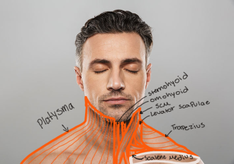 Click image for larger version

Name:	Male_Neck_Anterior.png
Views:	166
Size:	300.1 KB
ID:	7956