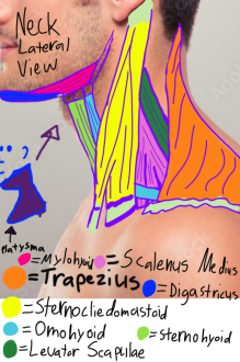 Click image for larger version

Name:	IMG_0747.png
Views:	49
Size:	531.8 KB
ID:	8256