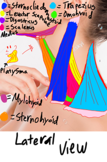 Click image for larger version

Name:	IMG_0748.png
Views:	51
Size:	530.8 KB
ID:	8257
