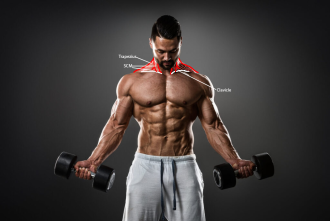 Click image for larger version

Name:	male_anterior.png
Views:	228
Size:	382.6 KB
ID:	9589