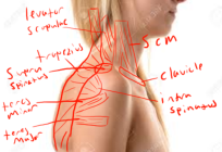 Click image for larger version

Name:	Screenshot 2024-10-02 220614.png
Views:	160
Size:	360.4 KB
ID:	9663